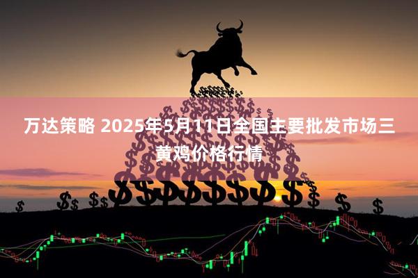 万达策略 2025年5月11日全国主要批发市场三黄鸡价格行情