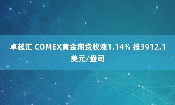 卓越汇 COMEX黄金期货收涨1.14% 报3912.1美元/盎司