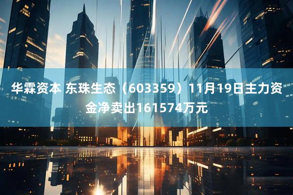 华霖资本 东珠生态（603359）11月19日主力资金净卖出161574万元