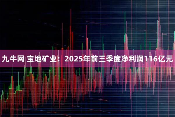 九牛网 宝地矿业：2025年前三季度净利润116亿元