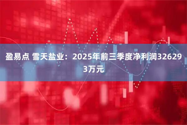 盈易点 雪天盐业：2025年前三季度净利润326293万元